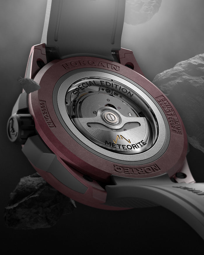 Wild ONE 42mm Meteorite Special Edition